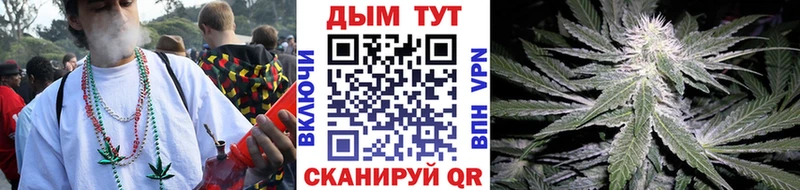 Шишки марихуана Amnesia  купить  цена  Обоянь 